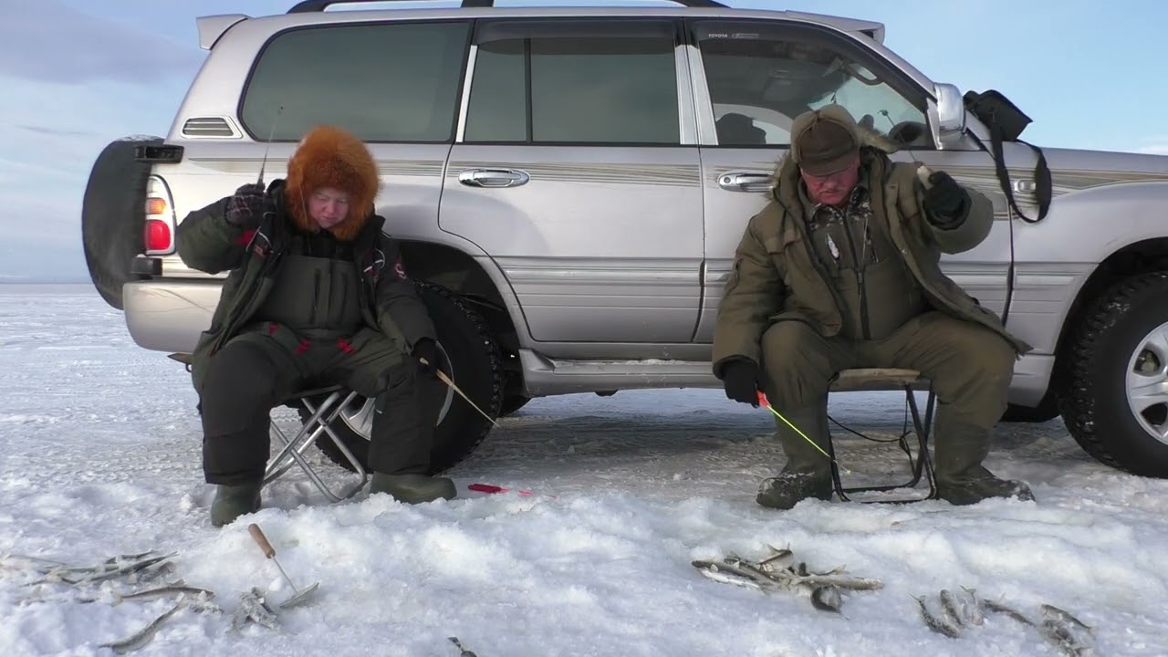 Корюшка-зубатка. Сопли поморозили, рыбку наловили!