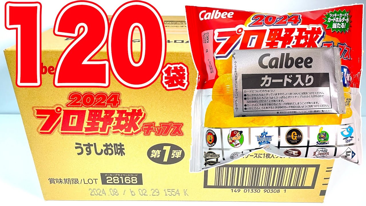 2024 プロ野球チップス 第１弾 『5BOX 開封』 Japanese Baseball card カード カルビー Calbee 食玩 Japanese candy toys