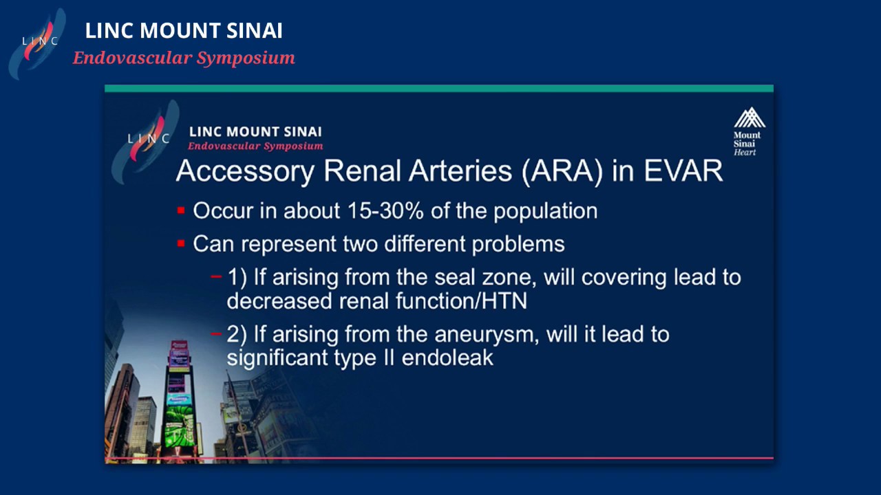 Management of Accessory Renal Arteries and Large IMA During EVAR: Ignore, Embolize or Preserve