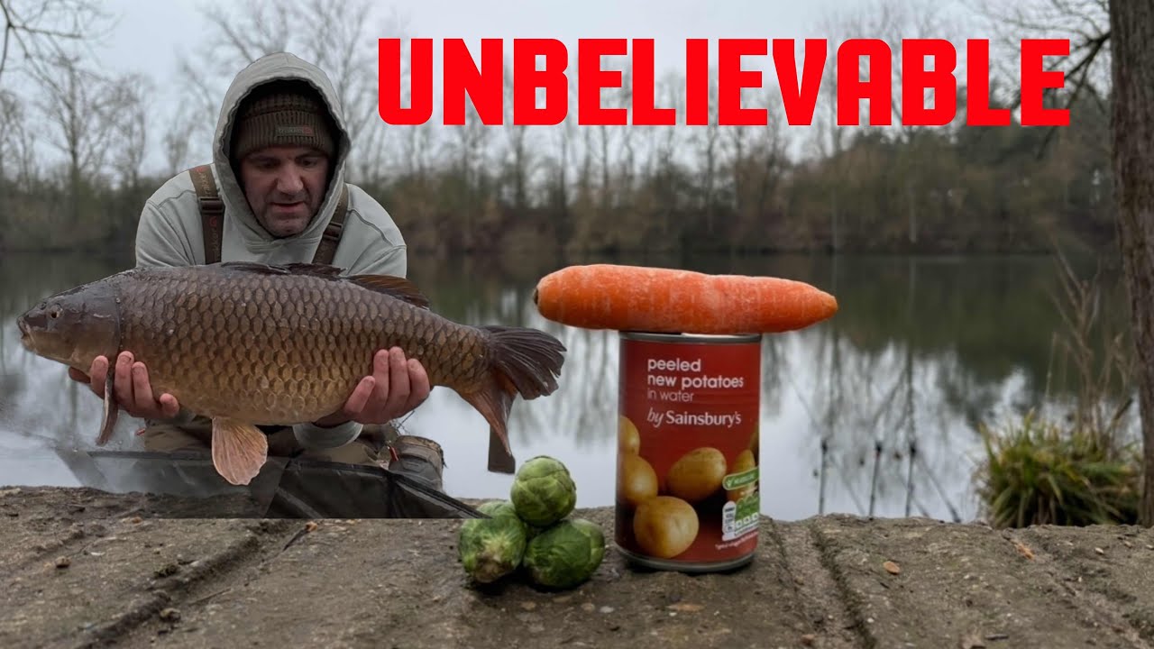 CATCHING CARP in WINTER using  VEGETABLES 