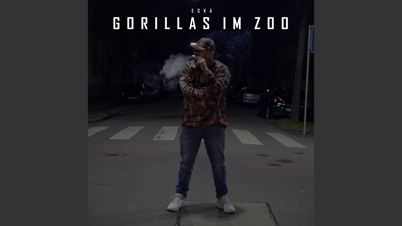 Gorillas im Zoo