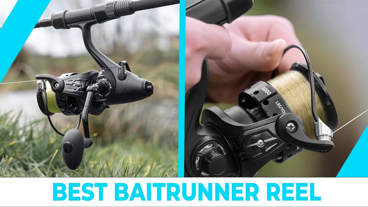 Best Baitrunner Reel &ndash; Top Most Category!