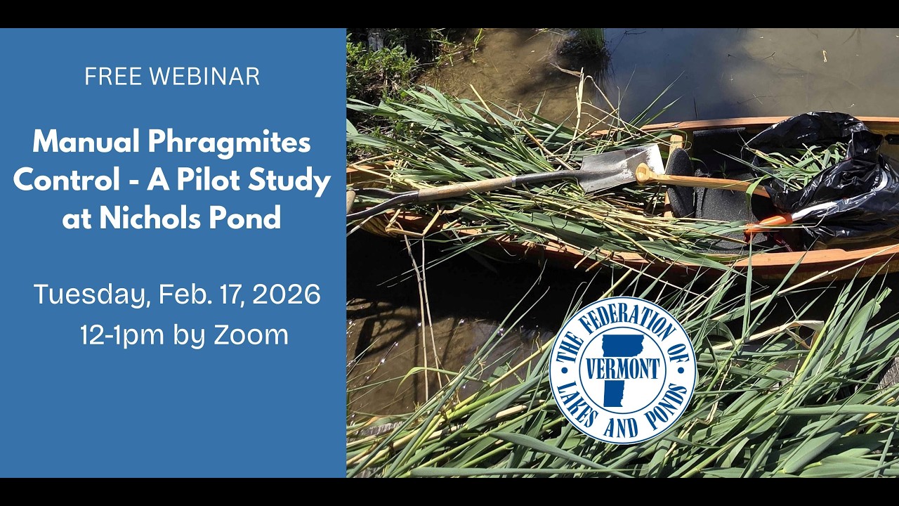 Manual Control of Phragmites  A Pilot Study at Nichols Pond. Webinar – February 17, 2026 12pm – 1pm