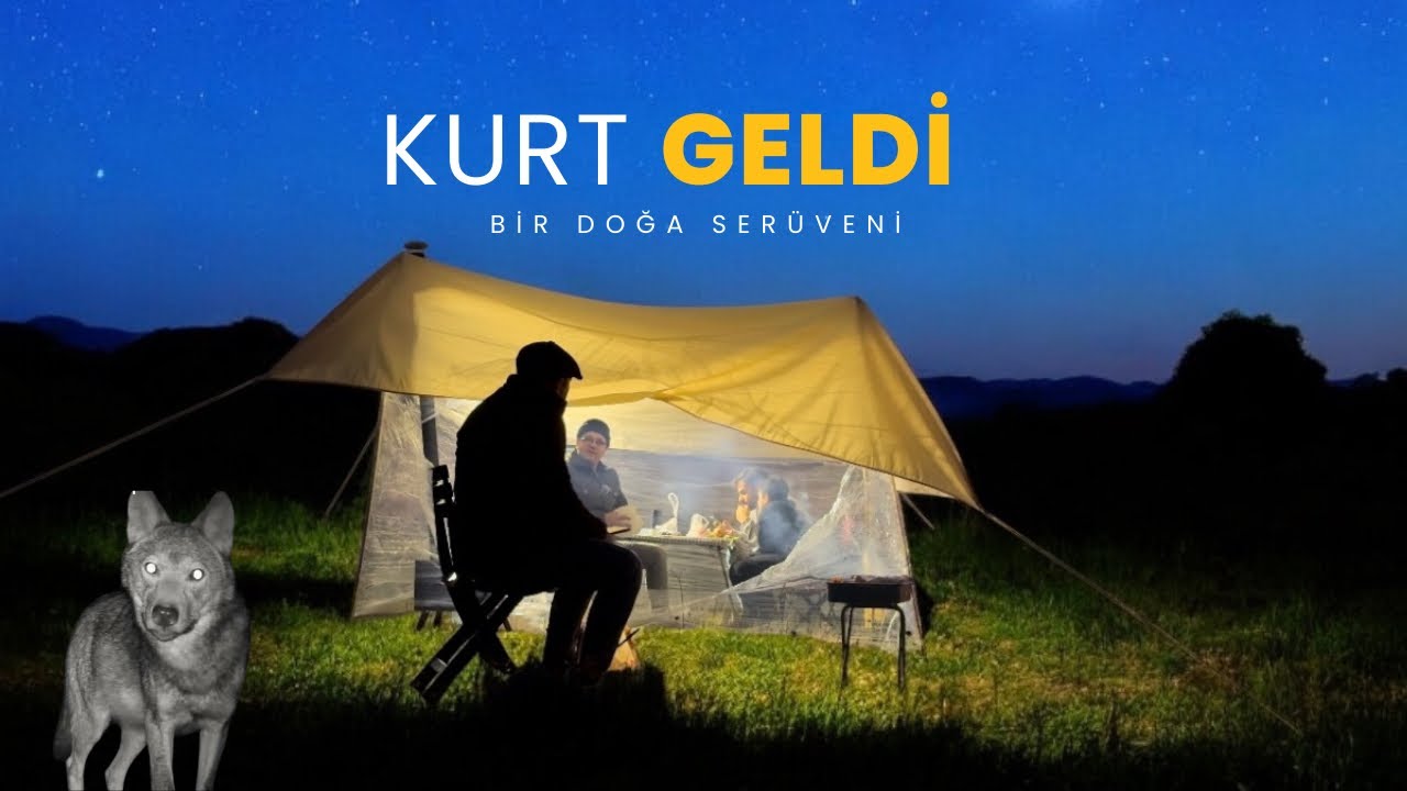 DÜŞÜK MALİYETLİ İLK STREÇ ÇADIRIMIZI KURDUK | İLK KAMP DENEYİMİMİZDE YAKINIMIZA KURT GELDİ! #KAMP