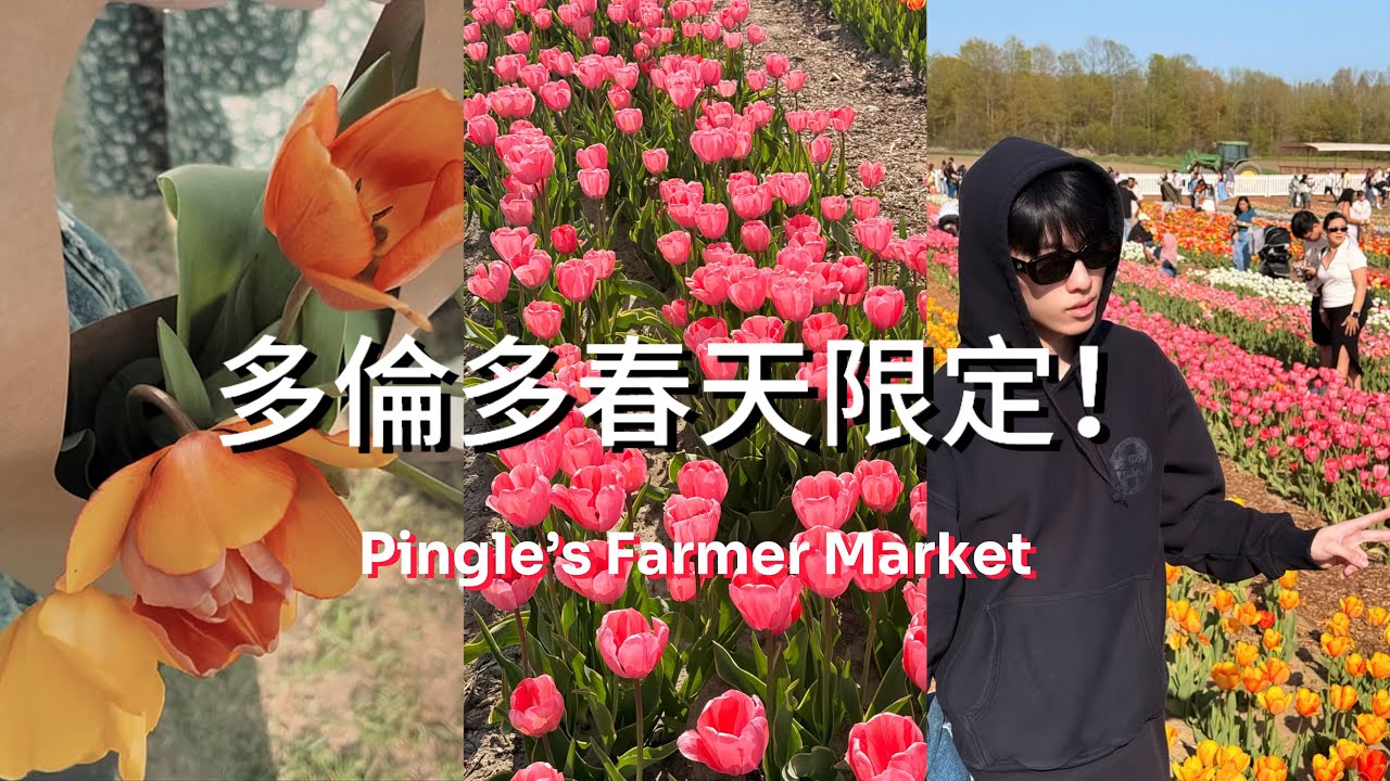 【逃離城市計劃EP. 01】多倫多超美鬱金香｜每年只有一次的限定美景｜賞花＋採花