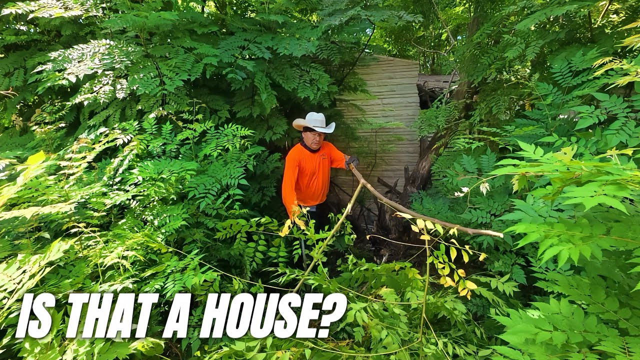 A Forgotten House Neighbors Hadn&rsquo;t Seen in DECADES Finally Sees Daylight