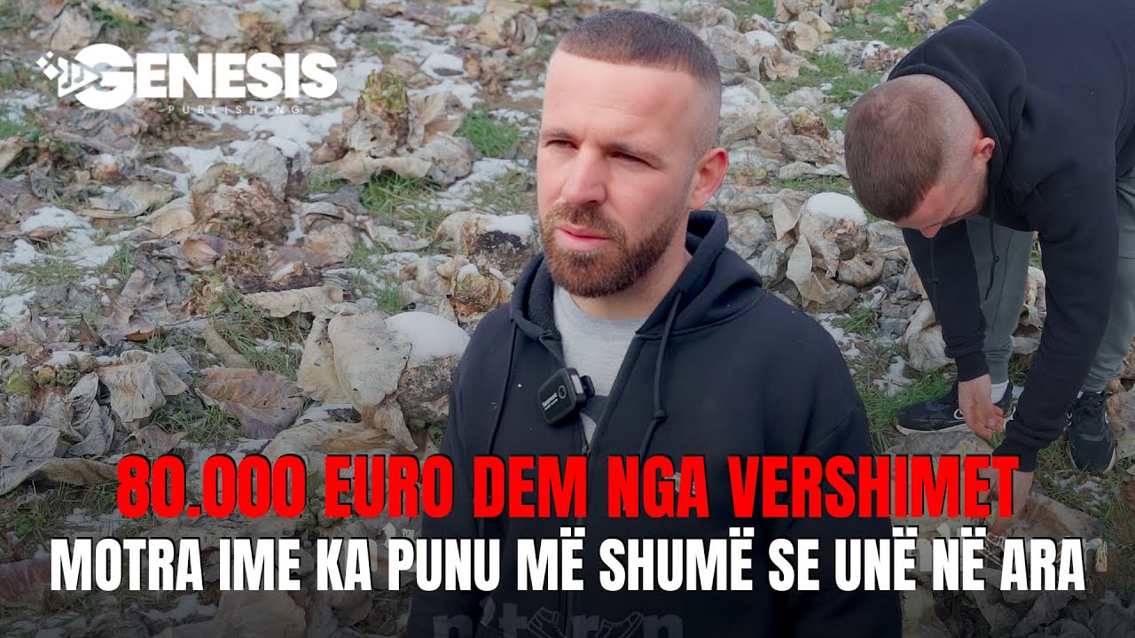80.000 euro dem nga vershimet – motra ime ka punu më shumë se unë në ara