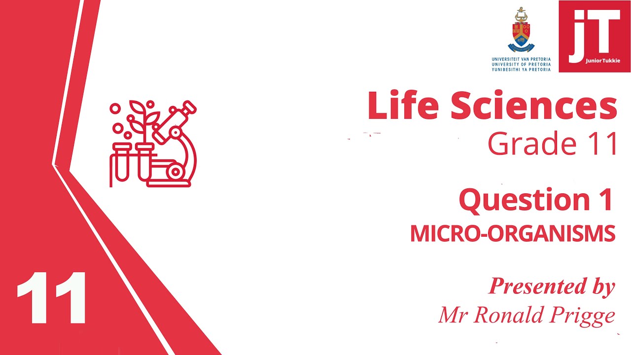 Gr 11 Life Sciences - Micro Organisms - Question 1