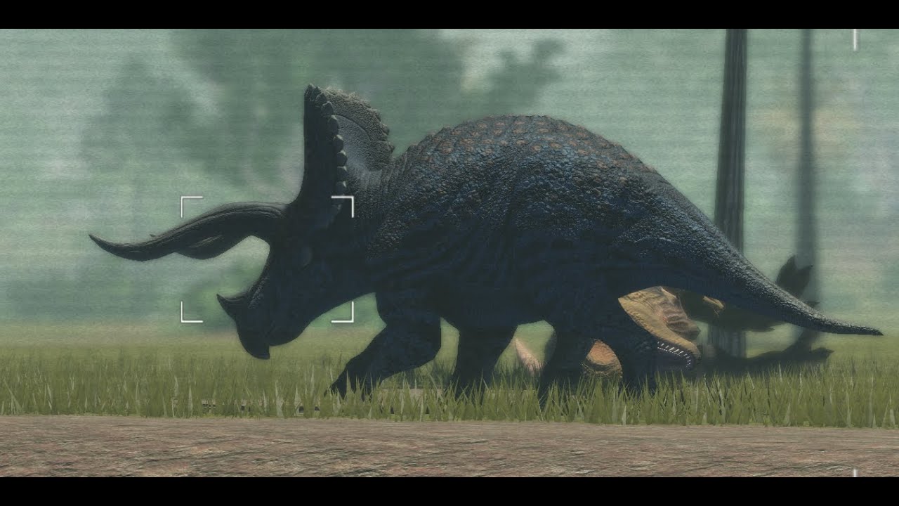 Rare Tyrannosaurus & Triceratops encounters. P.I The Sanctuary.
