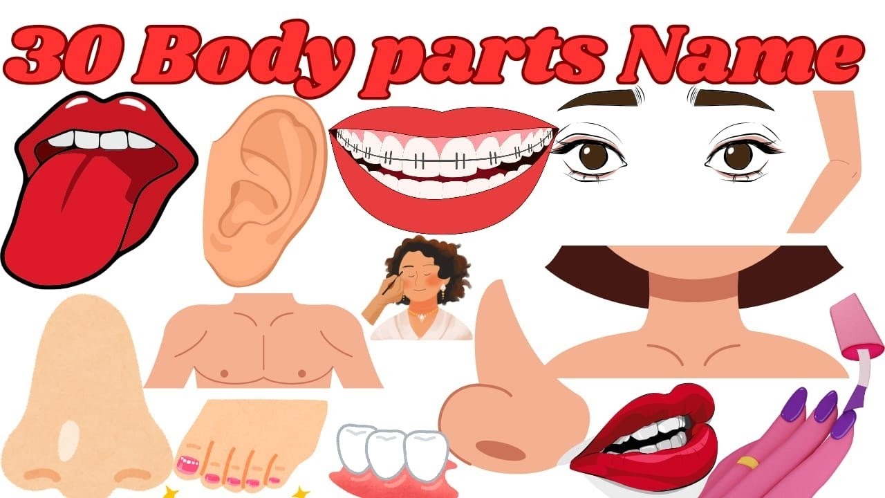 30 Body Parts Name in English | Learn Body Parts for Kids | Kids Learning Video