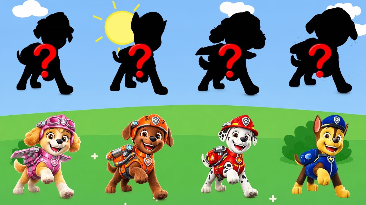 Paw Patrol and Friends Learn Kids Useful Stories for Kids Cartoon Paw Patrol (Special Series)