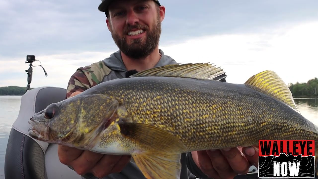 Walleye Now &ndash; The Game-Changing Walleye Fishing App!