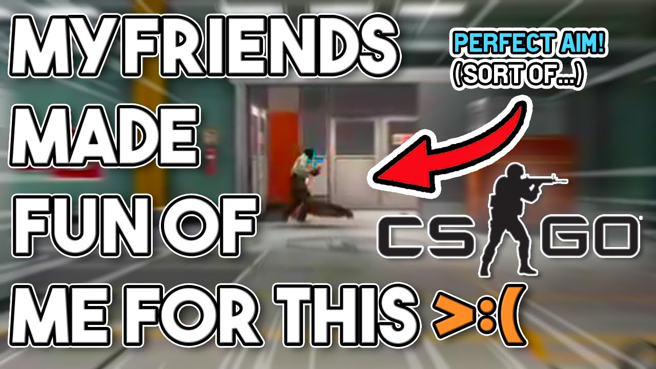 MY FRIENDS BULLIED ME OVER THIS!