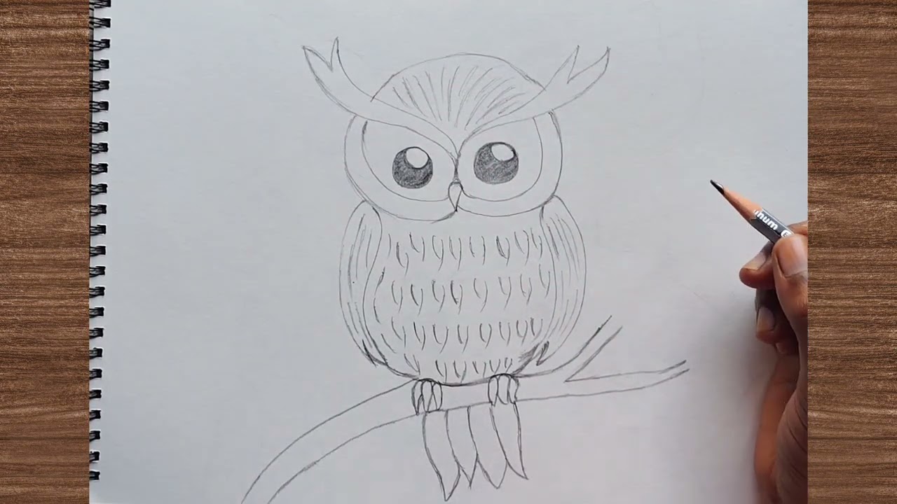 Drawing tutorial of the owl 🦉 | pencil sketch | simple pencil drawing of birds | Owl sketch easy way