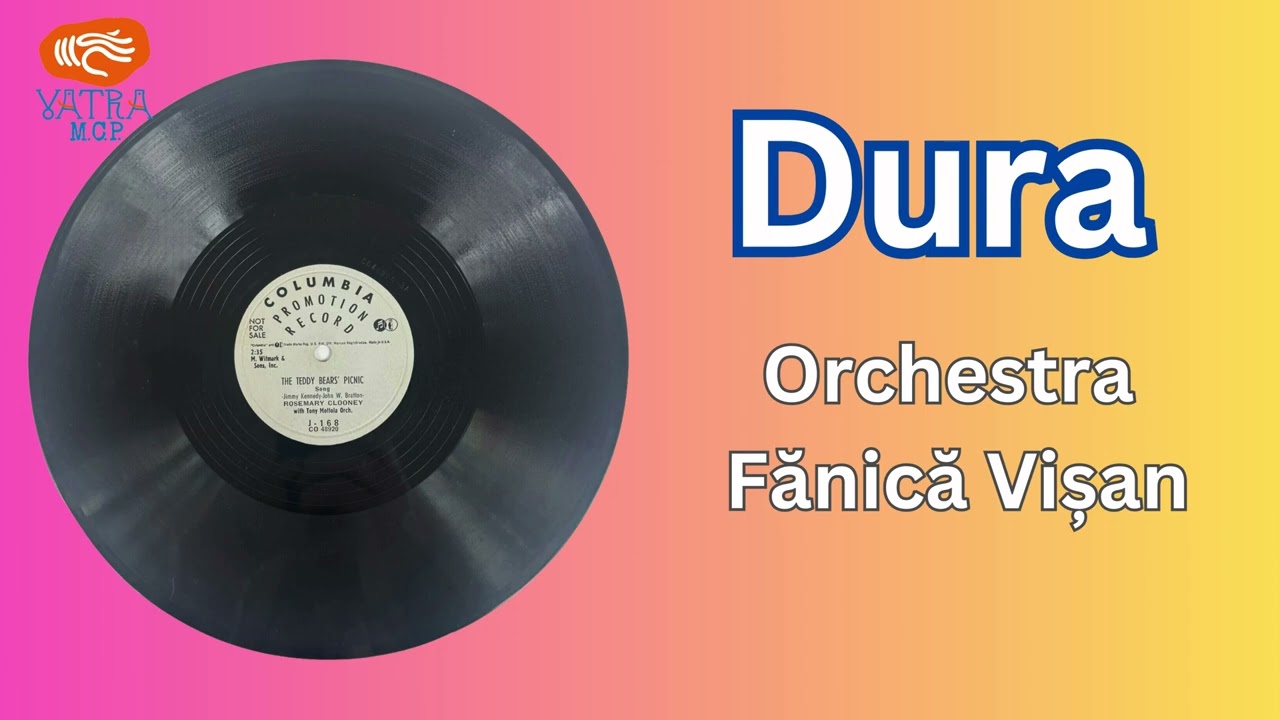Dura - Orchestra Fănică Vișan