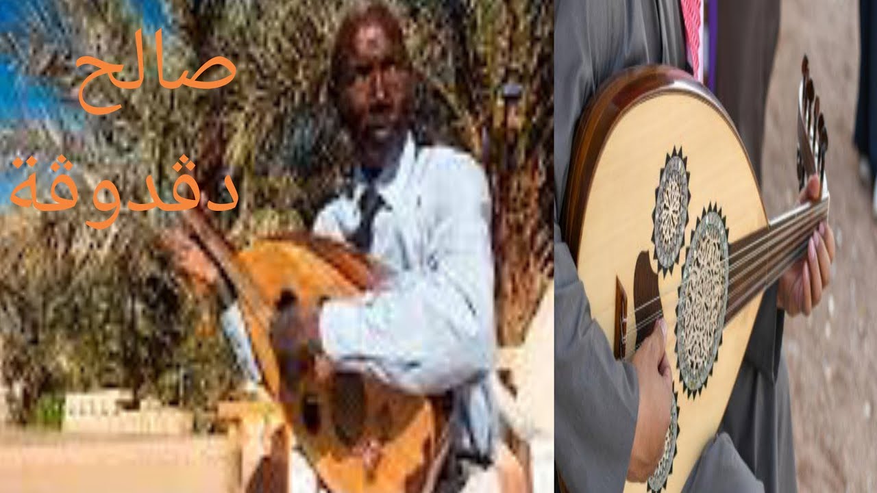 اغنية لزرڨ سعاني للفنان القدير صالح دڨدوڨة على العود