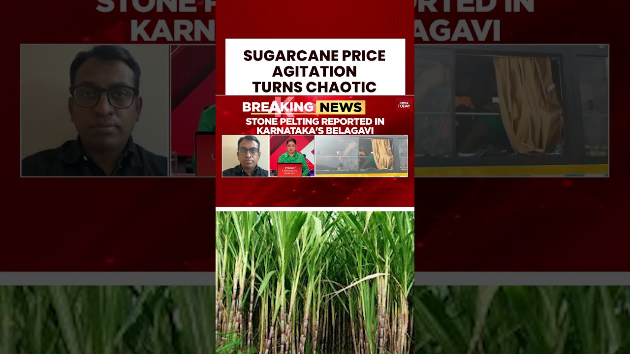 Farmers' Fury In Karnataka: Sugarcane Protest Turns Violent, Stones Pelted On Highway #breakingnews