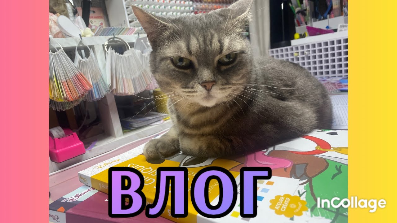 ВЛОГ/ Плюс 3 новые раскраски 🤗🤗🤗