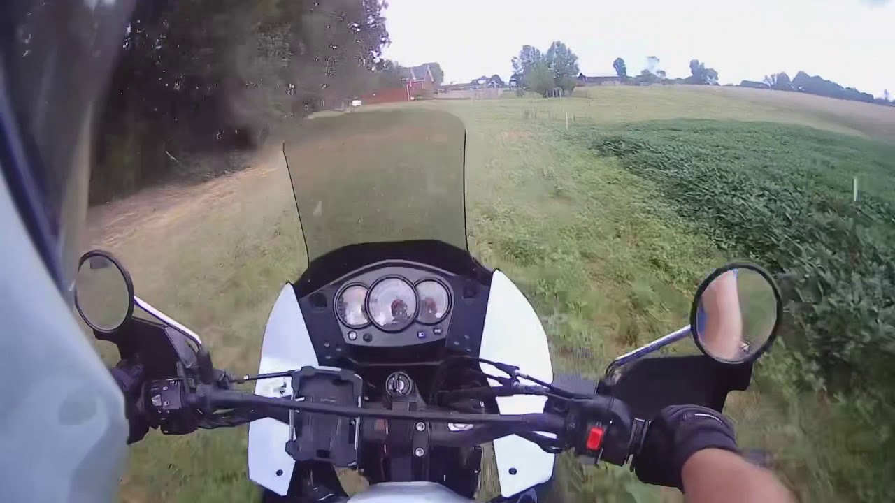 KLR650: Lets Wheelie This Pig