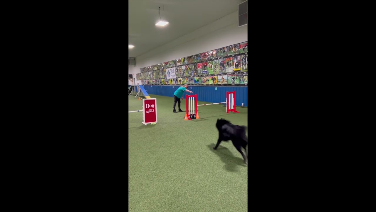 Switch Agility Class 2026