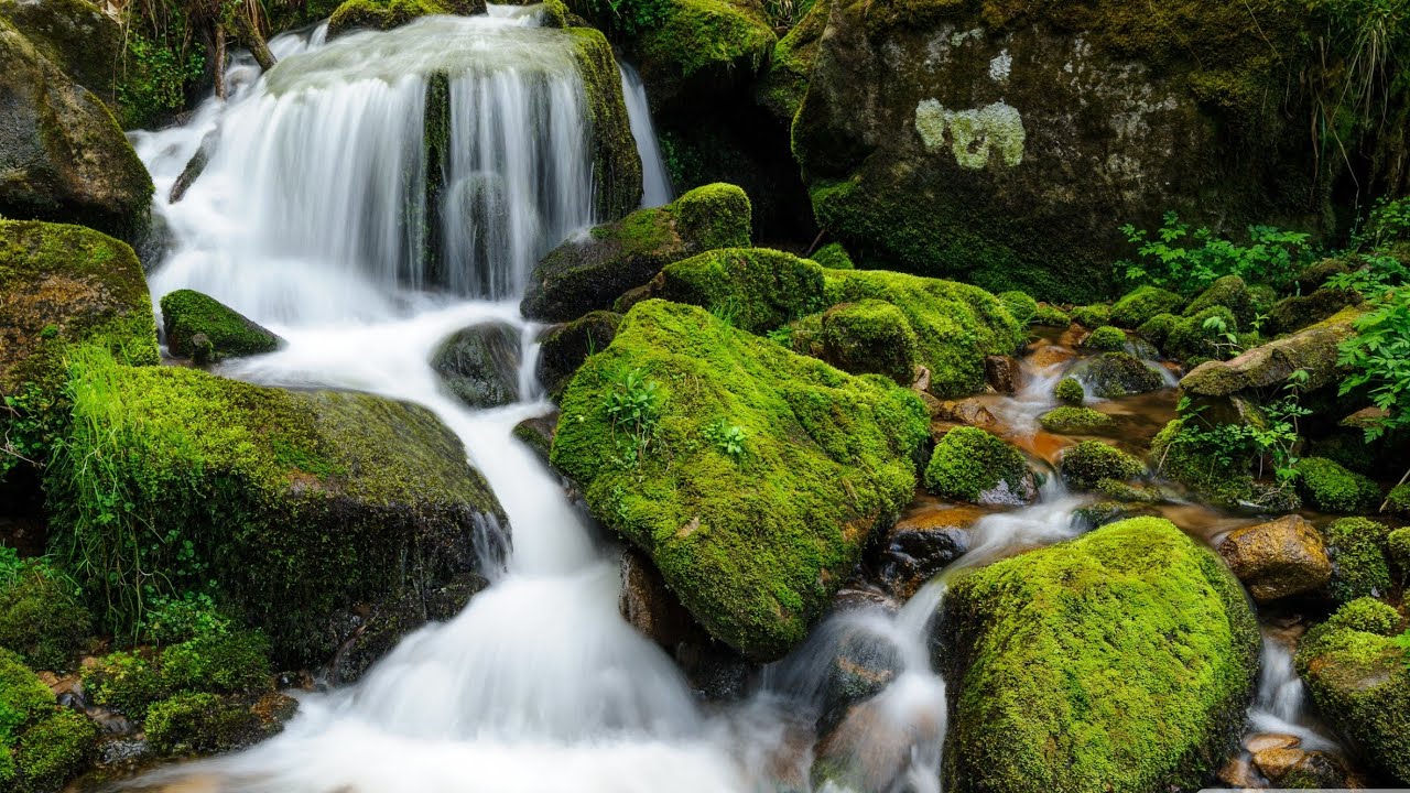 Relaxing Waterfall Sounds for Sleep | Fall Asleep & Stay Sleeping with Water White Noise | 1 Hour 4k
