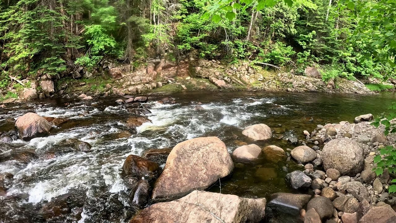 Pêche à la truite et exploration d'une nouvelle section de rivière