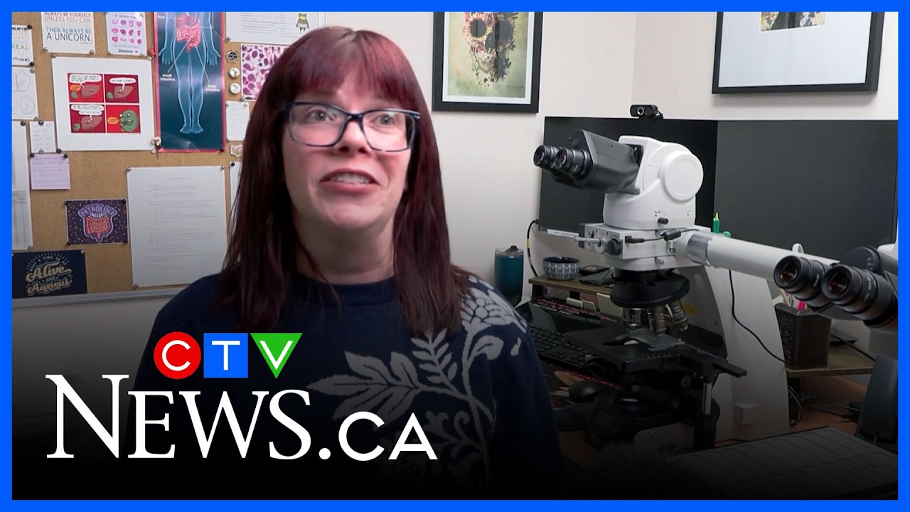 Former US healthcare workers settling into life in Canada