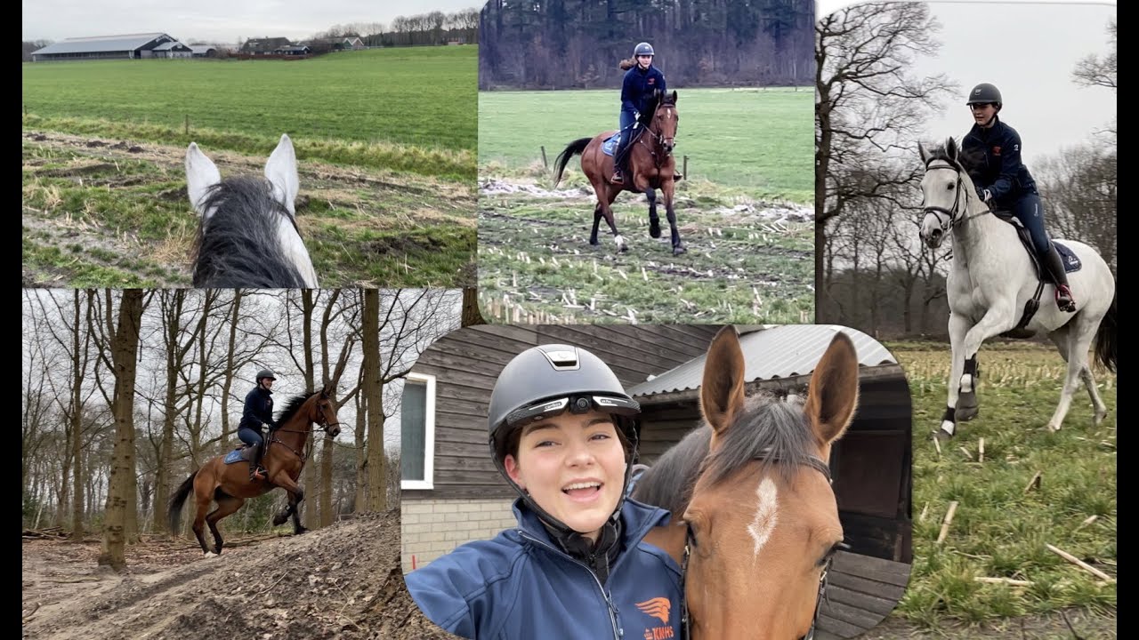 CONDITIETRAINING met jonge paarden! ✰vlog 167✰ | Kristy Snepvangers |