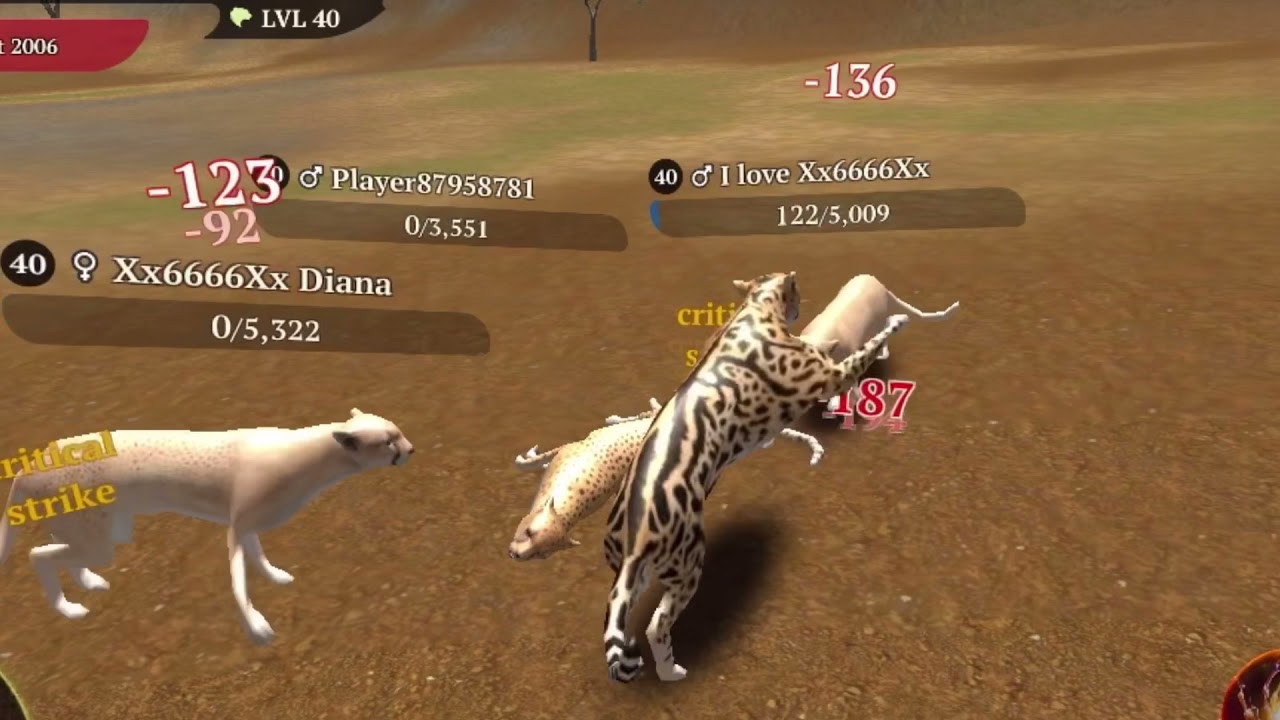 Annoying online daters // The Cheetah Online Simulator
