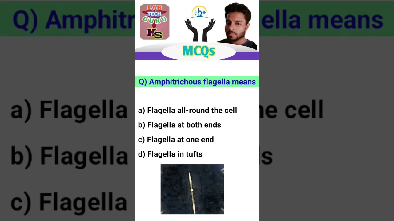important MCQ for Mlt #mltmcq #dsssb #viral #bscmlt #mlt #nvsrecruitment #dsssb_latest_update
