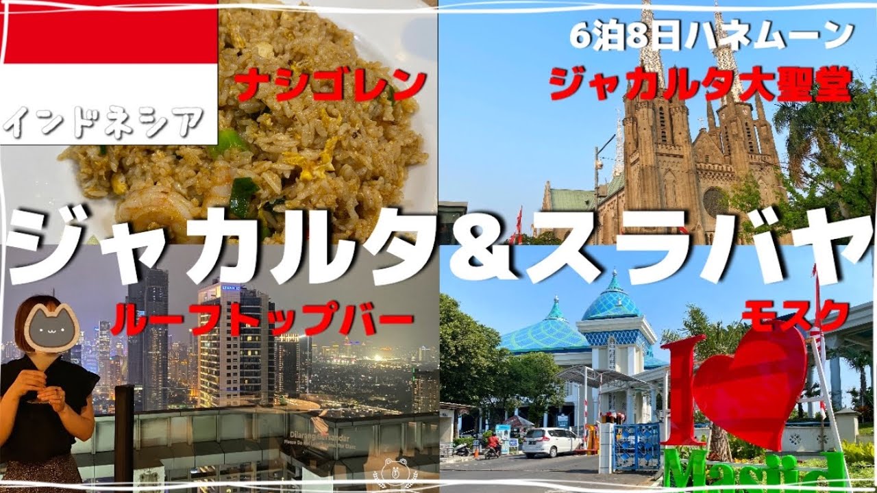 【ジャカルタ&スラバヤの旅】インドネシア最大級都市をコンパクト観光。ローカルグルメも食べまくり【新婚旅行vlog#1】