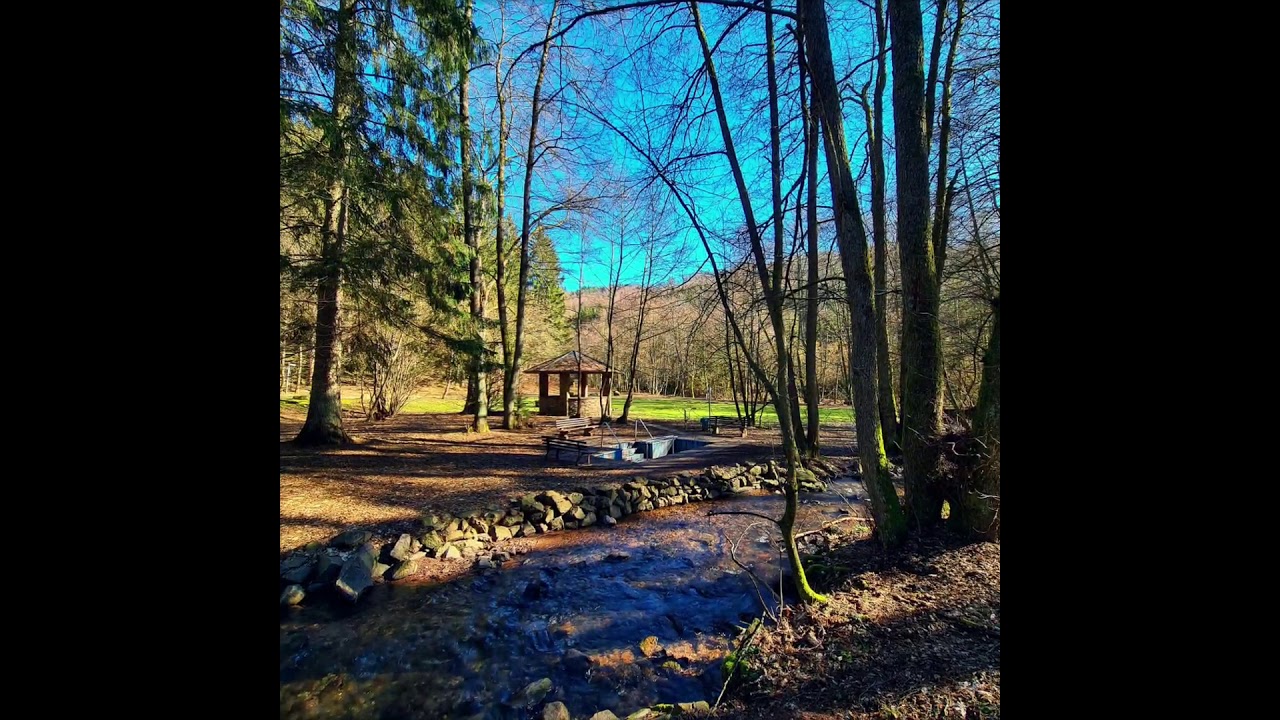 SAARLAND * NONNWEILER Otzenhausen, am Stausee und auf dem Keltischen Ringwall (KELTENRING)