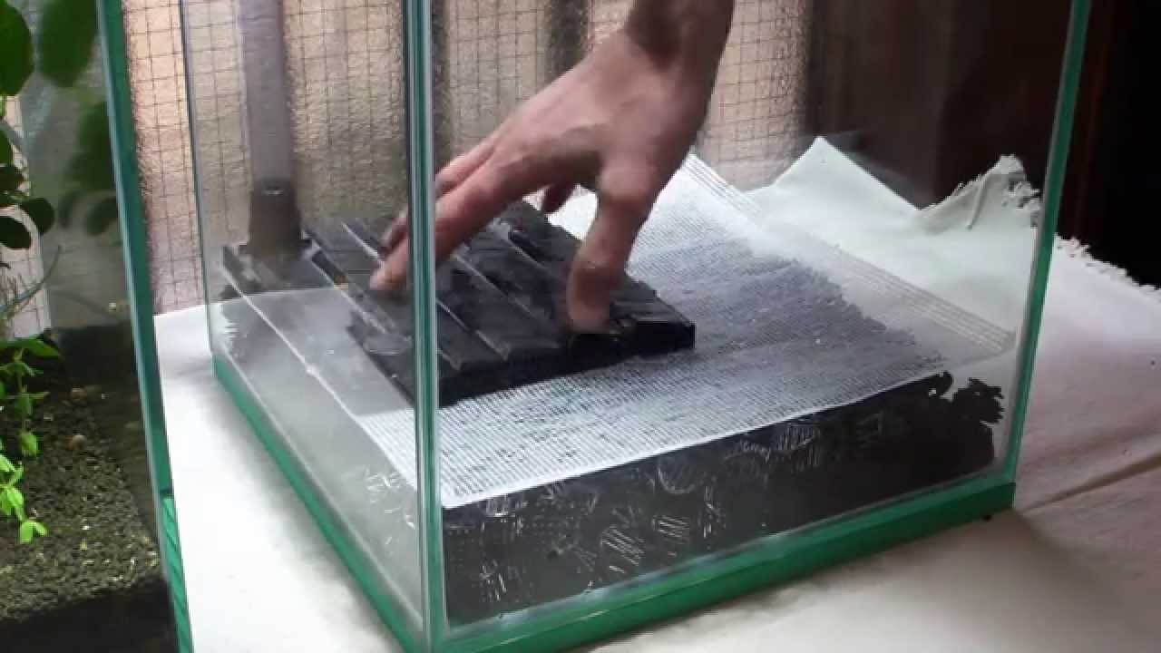 実験水槽その１　底面式で沈殿層がある水槽を立ち上げてみた　Undergravel Filter Aquarium Setup