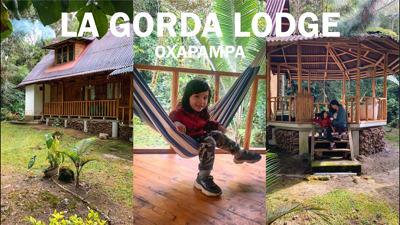 La Gorda Lodge l Así es dormir en una CABAÑA en OXAPAMPA l SELVA CENTRAL #1