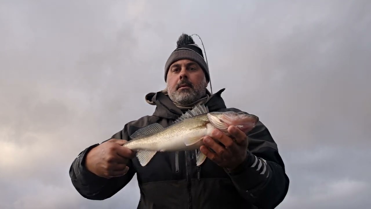 Oneida Lake Walleye Fishing Report | November 2nd | We found them and catch two on camera!