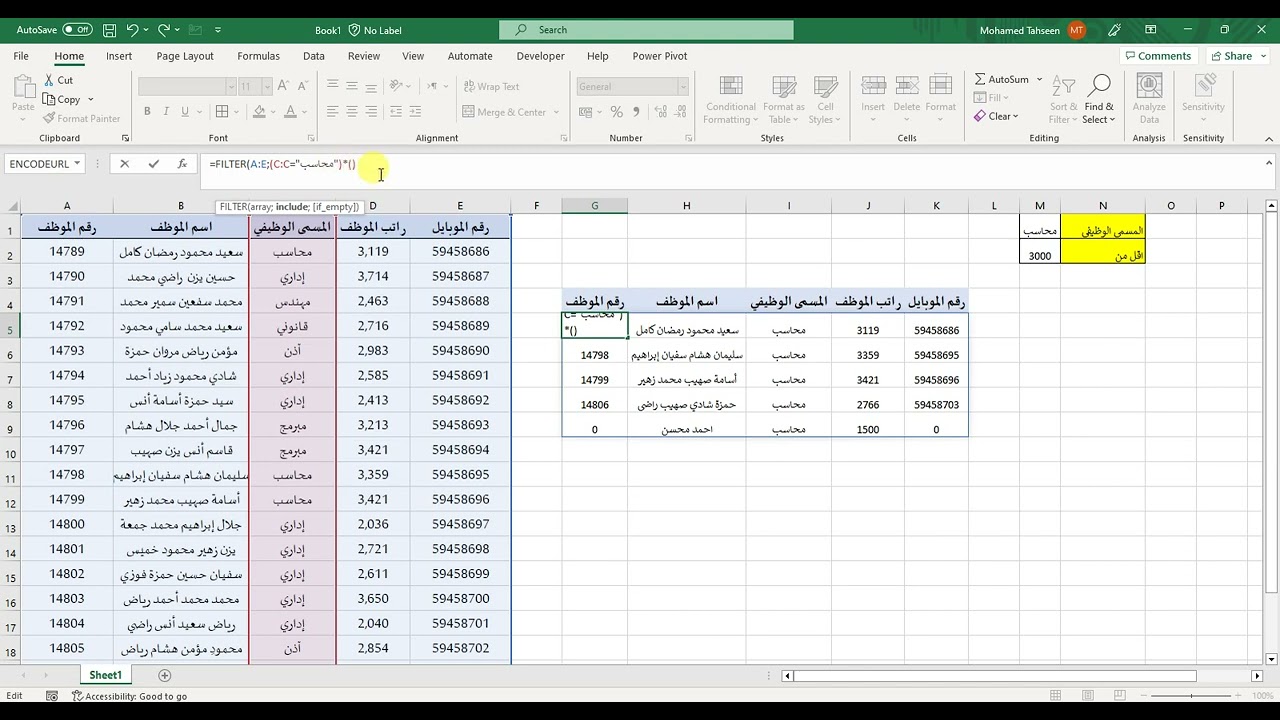 Filter With Multiple Criteria - ازاى تعمل دالة فلتر على اكثر من شرط