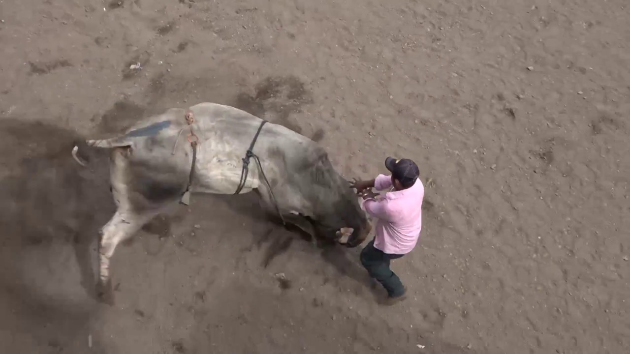 Familias de Juigalpa Chontales disfrutan de las mejores corridas de toros