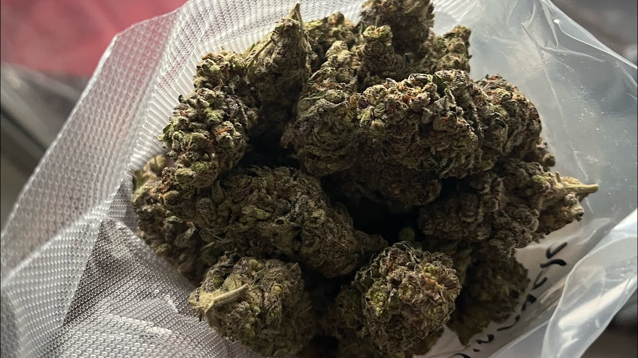 Discount Pharms QP Review 🔥 Pinnacle THCA Strain  #discountpharms