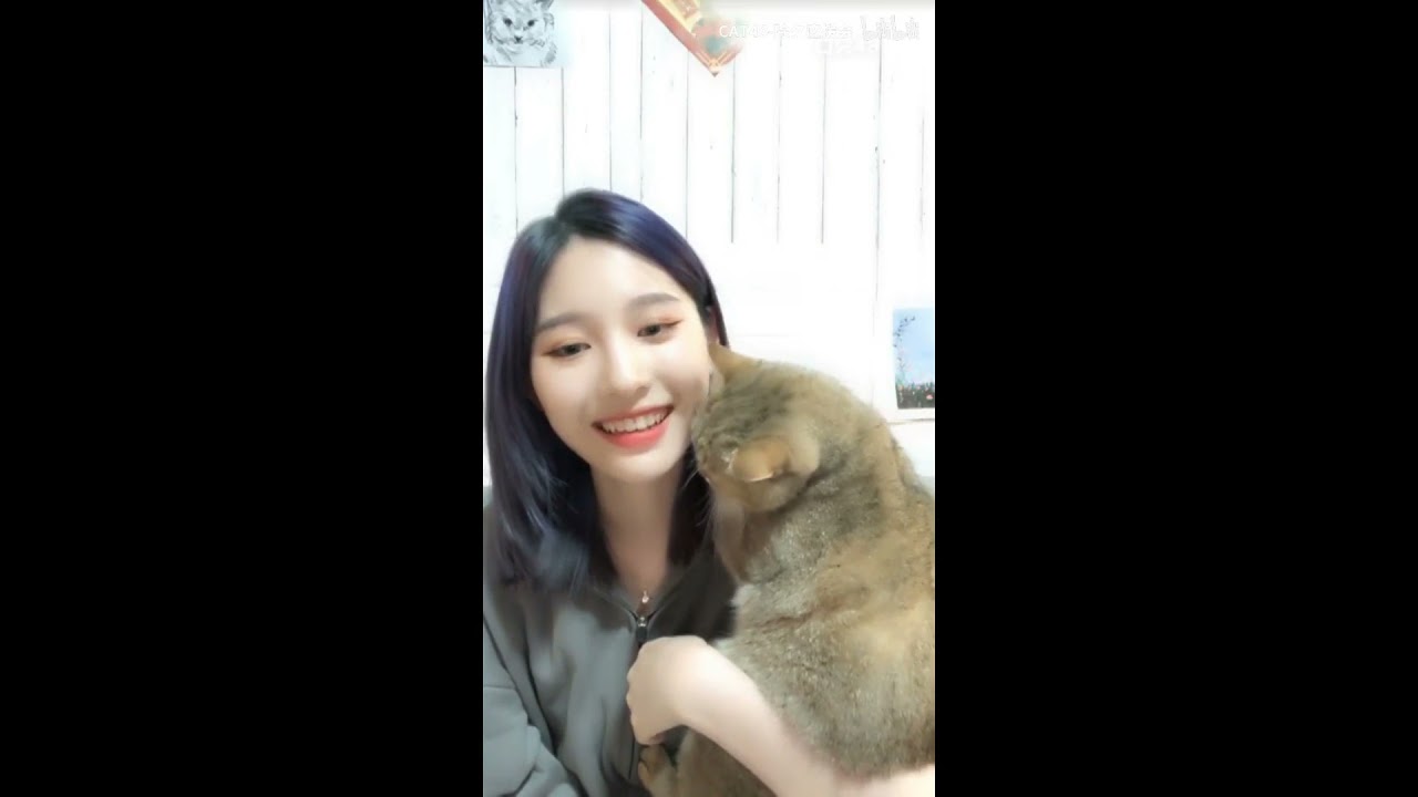[SNH48] Một chiếc mèo chiếm sóng khắp nơi - Chuxi