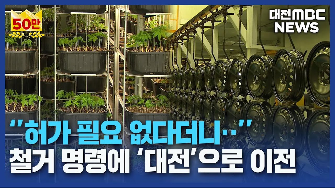 행정 편의주의? 떠나는 기업/대전MBC