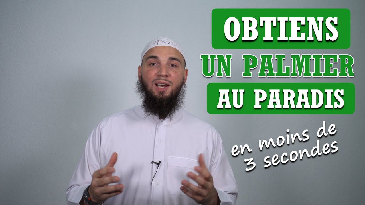 Obtiens un palmier au Paradis