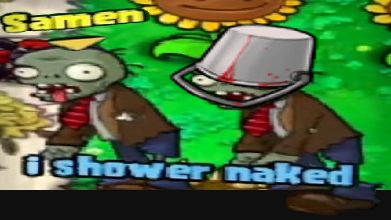 the developer of modded PLants Vs Zombies challenged me to PvZ Versus Mode