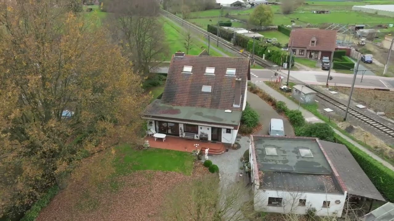 Mondo moerplas 4 puurs