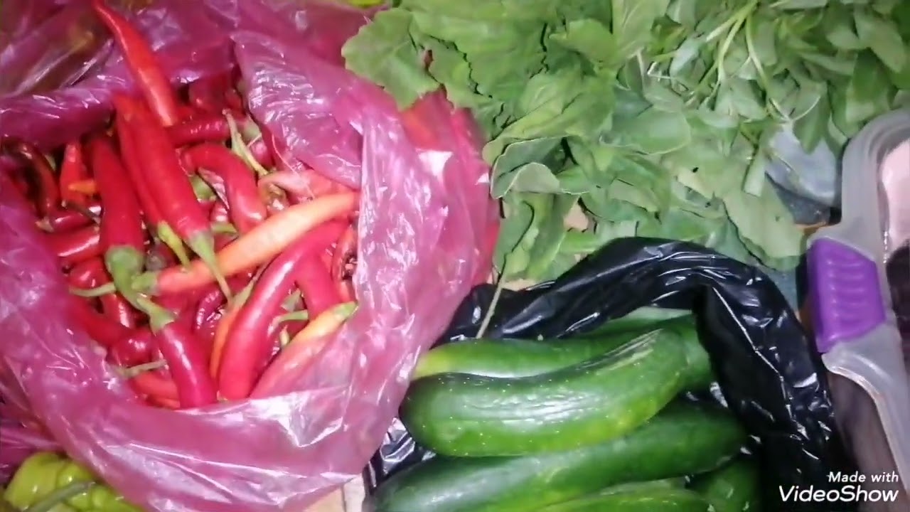 مشترياتي النهاردة من السوق والأسعار اتجننت🌿🤗♥️💙