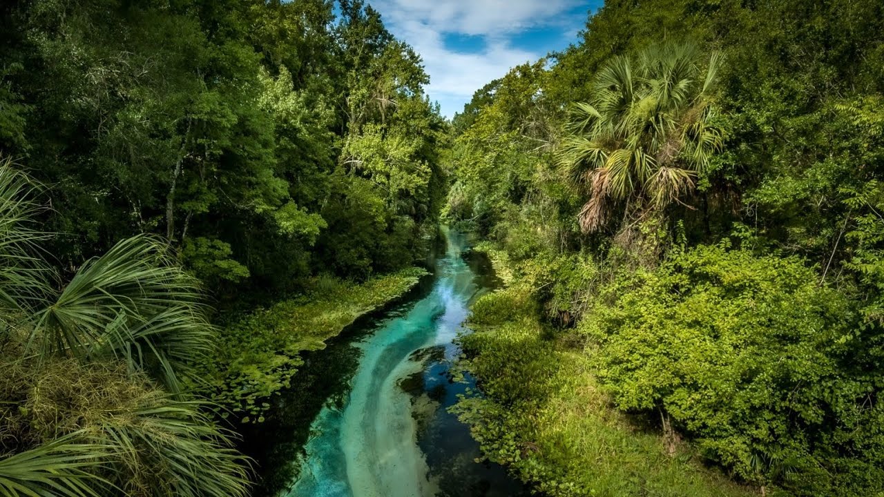 Kelly Park/Rock Springs - Apopka Fl
