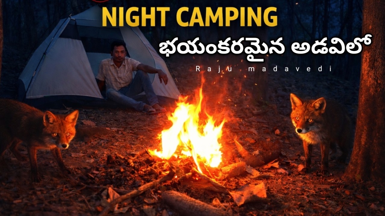 భయంకరమైన అడవిలో రాత్రి క్యాంపింగ్||Night camping in the scary forest|| Raju madavedi 