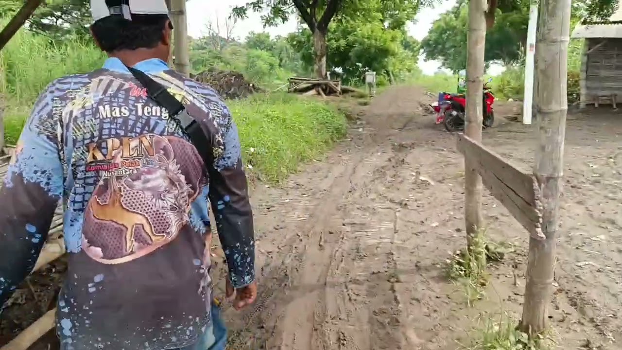 Spot pulau dem di wisata bahari tlocor