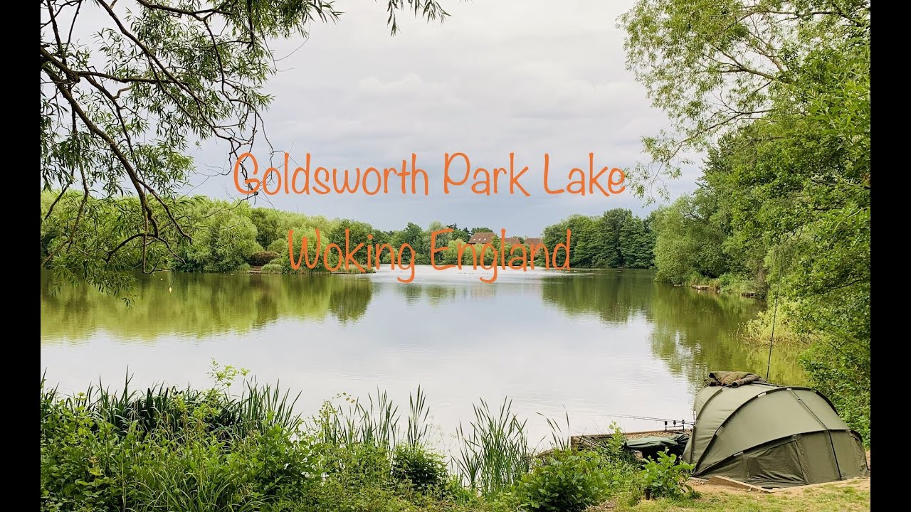 Frosty Morning Goldsworth Park Lake Woking England