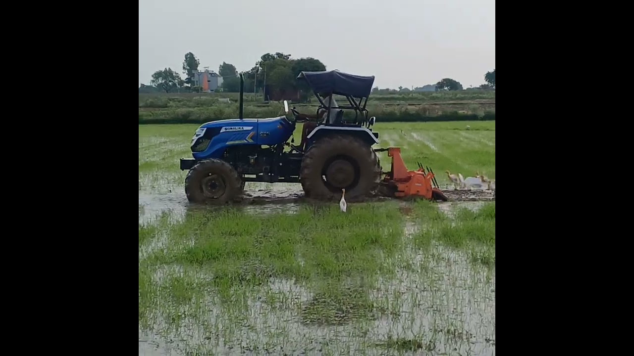 Aaj chlaya pani me rotaveter tiger 🐅 sy