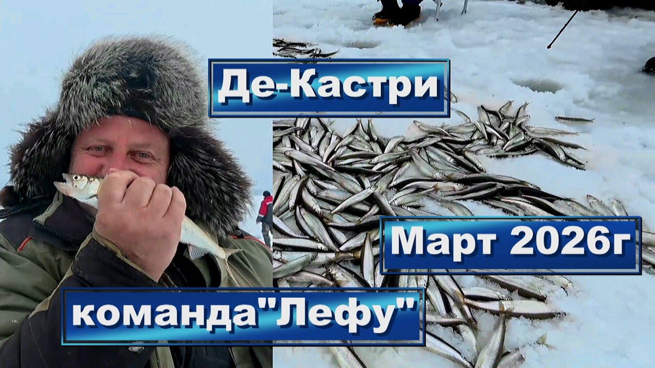 Подледная рыбалка в Де-Кастри корюшки и наваги  -март 2026 /Команда Лефу/Подводные съемки/